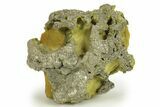 Golden Pyrite on Limonite Clay - Pakistan #283721-1